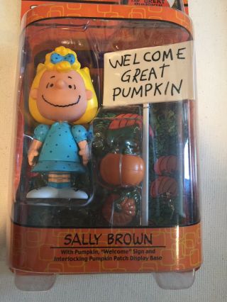It ' s the Great Pumpkin Charlie Brown Sally Brown Figurine Brand 2005 3