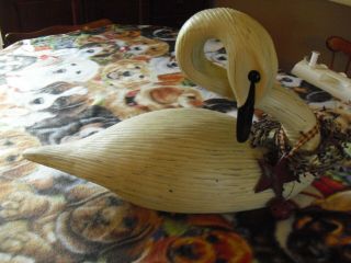 Size 22 " Preening Wood Swan