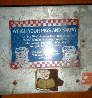 Vintage Rare Old Purina Pig Pork Piglet Hog Packer 250 Lbs Scale Advertisement