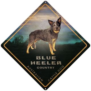 Blue Heeler Australian Cattle Dog Tin Sign Blue Heeler Australian Road Sign