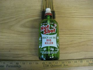 Vintage Glass Bottle Hot Shot Diazinon Bug Killer 1 Pint - Empty