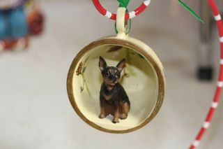 Chihuahua Ornament Mini Tea Cup Min Pin Date Inside Easter Little Small Tiny