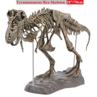 Modern Big Tyrannosaurus Rex Skeleton Dinosaur Animal Collector Decor Model Toy