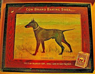 Cow Brand Baking Soda Manchester Terrier Dog 1910 Color Litho Advertising Sign