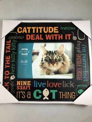 Prinz Wood Picture Frame Kitty Cat Cattitude 4x6 " Cat Lover Live Love Lick