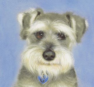 Dogs Schnauzer " Good Boy " Limited Edition Giclee Art Print Su Barratt