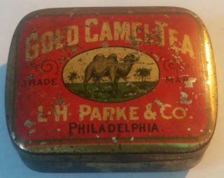 Vintage Sample Tea Tin Gold Camel Parke & Co Philadelphia