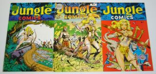 Jungle Comics 1 - 3 Vf - Complete Series - Dave Stevens - Sheena Queen Of Jungle 2