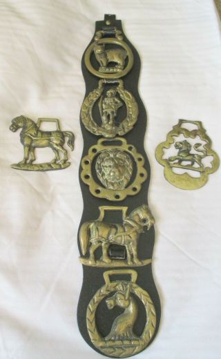 Vintage Leather Horse Saddle Harness Brass Decoration Brass Medallions
