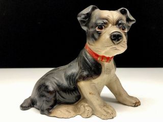 Old Vintage Handpainted Cast - Iron Boxer Puppy Coin Bank