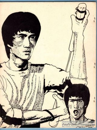 FANGRAPHIC 2 Bruce Lee fanzine SONNY CHIBA martial arts comics JIMMY WANG YU ' 77 3
