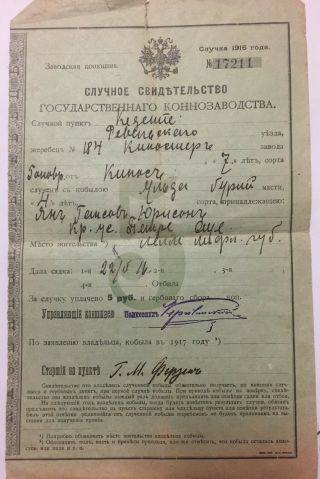 Ww1 Imperial Russian Horse Breeding Certificat Document Rare