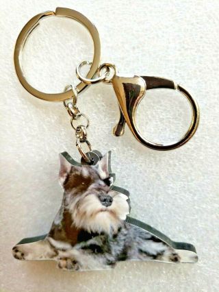 Schnauzer Lying Down Realistic Dog Acrylic Key Ring Keychain Jewelry