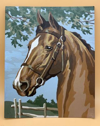 Vintage Horse Paint By Number