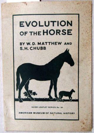 1913 Evolution Of The Horse – Illustrated – American Museum Of Natural History