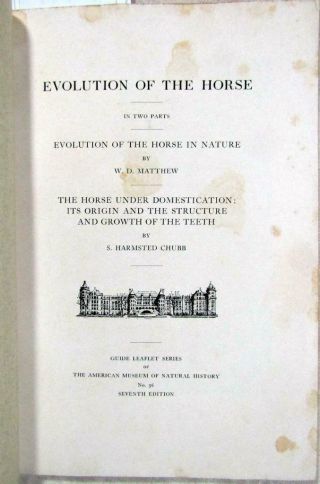 1913 EVOLUTION of the HORSE – Illustrated – American Museum of Natural History 2