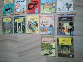 TINTIN Hergé 17 Comics In Arabic Edition,  Adventure Comic,  Children Book,  Egypt 4