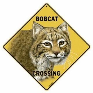 Bobcat Metal Crossing Sign 16 1/2 " X 16 1/2 " Diamond Shape 331
