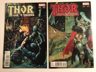 Thor God Of Thunder 25 Variant Set Marvel Comics First Jane Foster As Thor