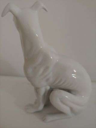 Vintage White Whippet Greyhound Dog Figurine Porcelain 4