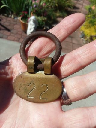 Brass Cattle Tag No.  22 Double Sided Heavy Duty Tag And Ring Vintage Cow Id