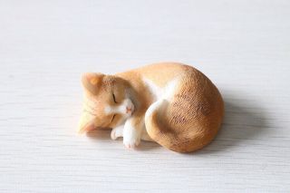 Resin Lovely Mini Lifelike Sleeping Cat Model Ornaments Gift Statue
