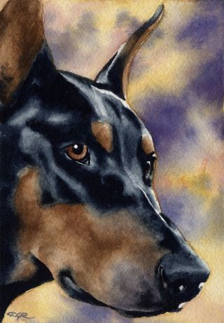 Doberman Pinscher Painting Dog 8 X 10 Art Print Signed By Artist Djr