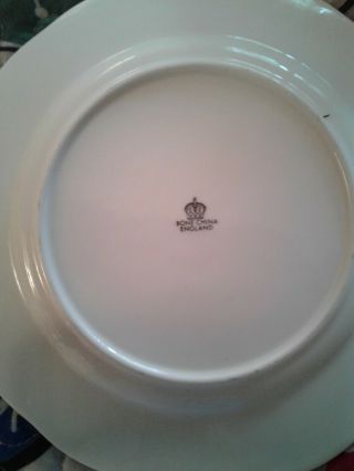Vintage Decorative Crown Bone China Plate With Schnauzer And Gold Trim RARE 2