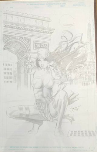 art cover Marvel Knights Elektra 1 (Marvel,  2001) by Greg Horn 4