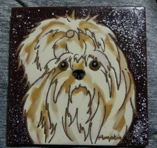 Painted Tiles Maltese Dog 6x6 Designed By Pumpkin