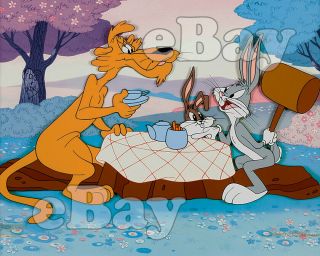 Rare Bugs Bunny Cartoon Color Photo Warner Bros Animation Pete Puma