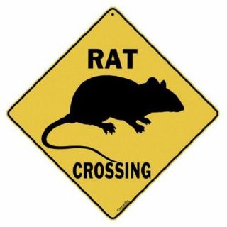 Rat Metal Crossing Sign 16 1/2 " X 16 1/2 " Diamond Shape Made In Usa 373