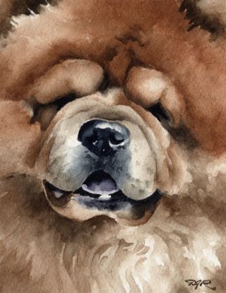 Chow Chow Dog Watercolor 8 X 10 Art Print Signed By Artist Djr