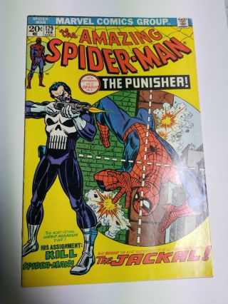 The Spider - Man 129 1st Appearance Of The Punisher (feb 1974,  Marvel)