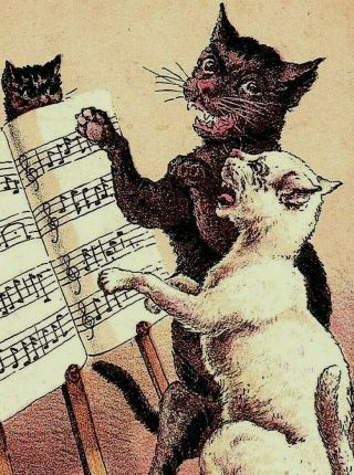 1887 Peerless Coffee Anthropomorphic Cats Singing Lesson Kittens P155