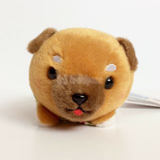 Amuse Tsumikko Mameshiba San Kyodai " Mamesaburo " (16cm) Shiba Inu Dog Plush Nwt