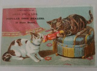 Victorian Trade Card Popular Shoe Dealers Sweet Kitten Cat Playing Old Antique