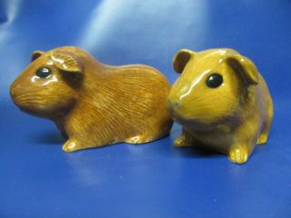 Guinea Pig Salt And Pepper Pots Guinea Pig Cruet Gold & Red Guinea Pig Cruet Bn