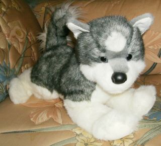 Plush Sasha Siberian Husky Dog W/ Tag Douglas Cuddle Toys 16 " Stuffed Puppy