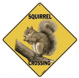 Squirrel Crossing Sign,  12 " On Sides,  16 " On Diagonal,  Indoor/out - Aluminum