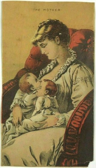 The Mother Breast Feeding Sweet Home Soap Larkin & Co Buffalo Ny Trade Card