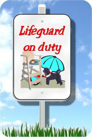 Portuguese Water Dog Lifeguard On Duty Sign Novelty 8 " X12 " Pool Yard Dog