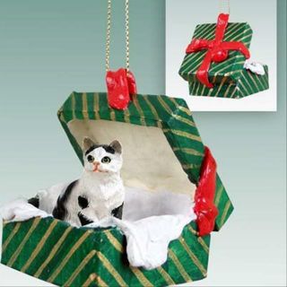 Shorthair Black White Cat Green Gift Box Holiday Christmas Ornament