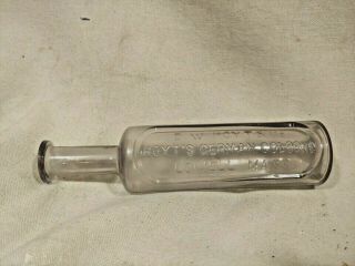 Rare Antique Bottle E.  W.  Hoyt & Co.  Hoyt 