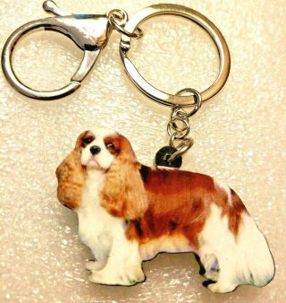 Cavalier King Charles Spaniel Realistic Red White Dog Acrylic Keychain Jewelry