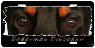 Doberman Pinscher " The Eyes Have It " License Plate