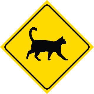 Yellow Diamond Cat Crossing Signs Plastic Square Sign - Single Sign,  12x12