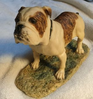 Border Fine Arts American Bulldog Figurine.  Hand Made,  1979,  Scotland.