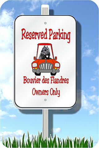 Bouvier Des Flandres Parking Sign Novelty 8 " X12 " Metal
