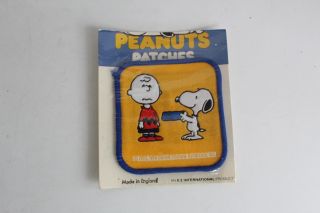 Peanuts Patch Yellow Charlie Brown And Snoopy